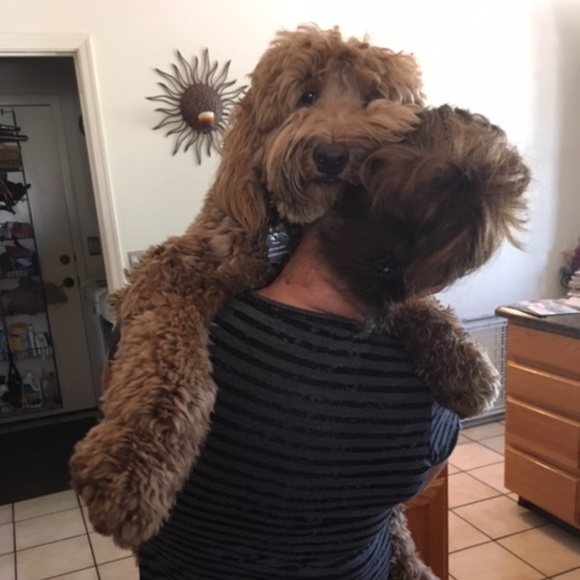 Meet your Posher, Terry - Picture 3 of 6